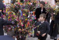 Palmbaum 2 klein.JPG